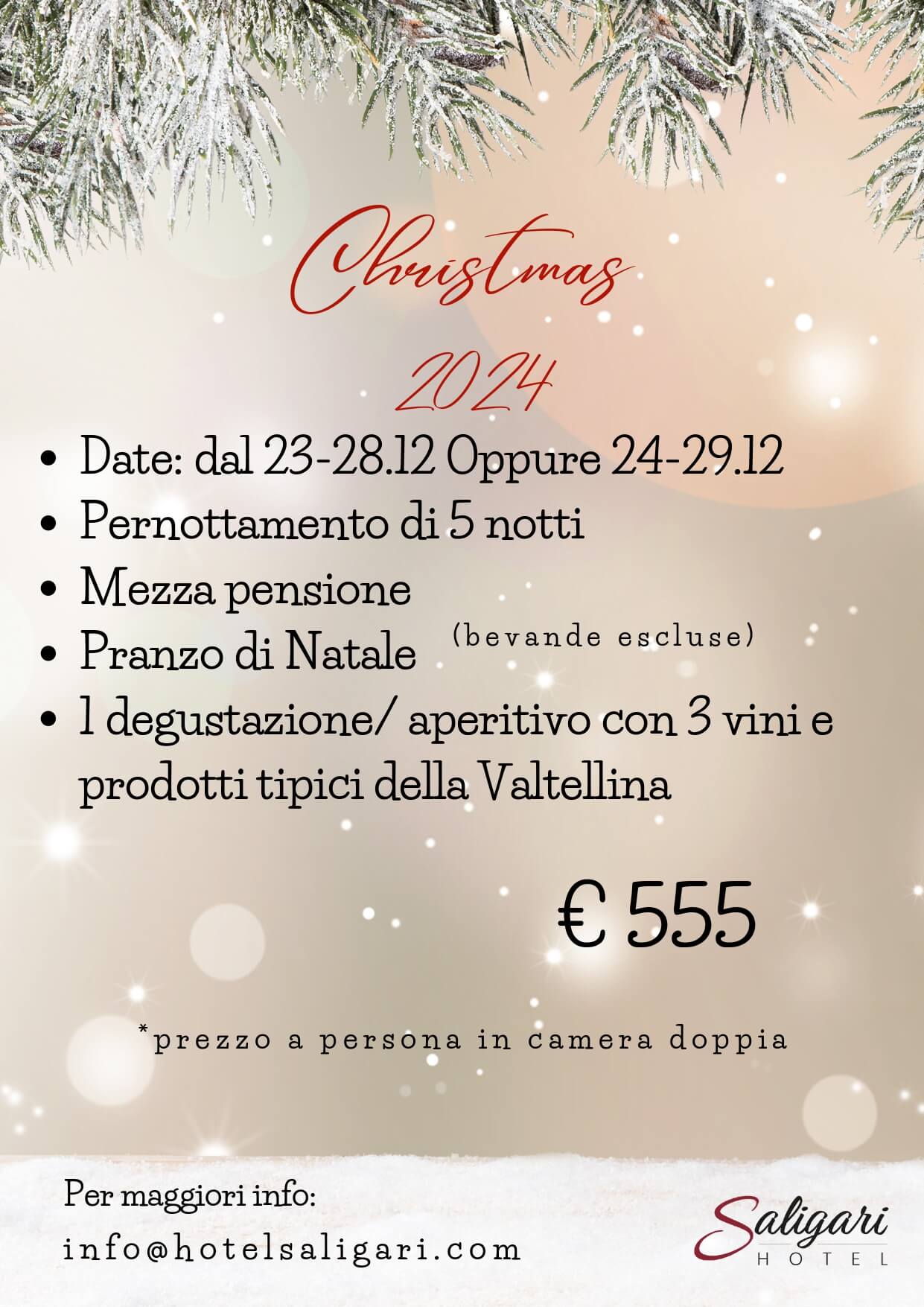 Natale 2024 sul Lago di Mezzola: Festività tra Tradizione e Relax: Immagine 2